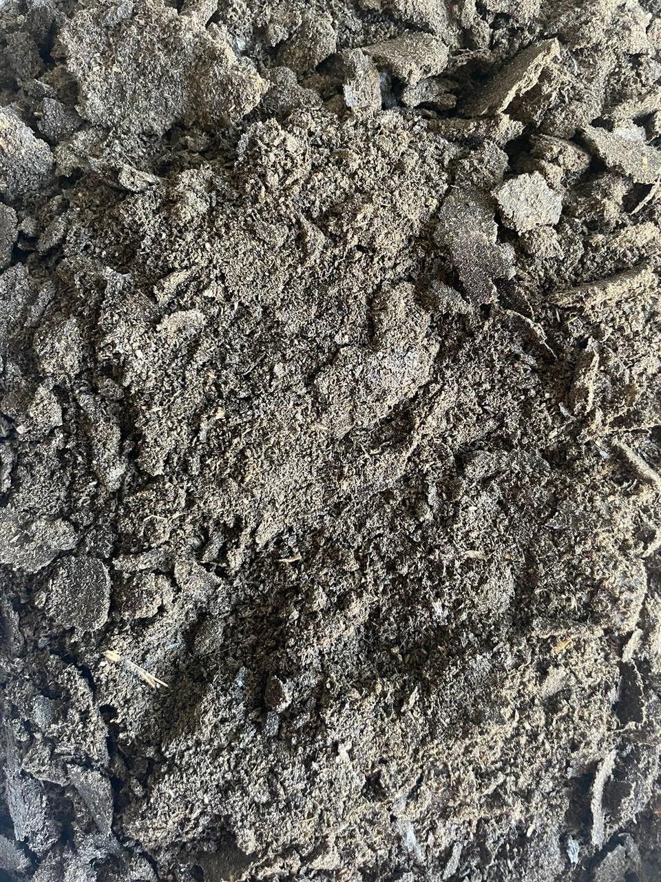 Жмых Подсолнечный Купить Россошь Авито Воронежская