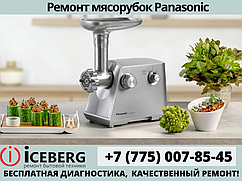 Ремонт мясорубок Panasonic в Усть-Каменогорске