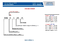 Ванна моечная Atesy ВСМ-Б-1.910.430-02 (ВМ-1/430/1010)