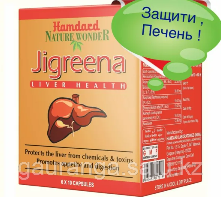 Джигрина Хамдард / Jigreena Hamdard 60 капсул - очищение и восстановление печени - фото 1 - id-p107005344