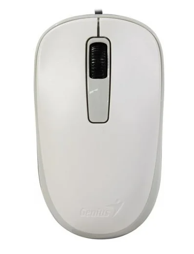 Оптическая мышка Genius DX-125, USB, White, 1000 dpi, either hand 31010106102 - фото 1 - id-p106863272