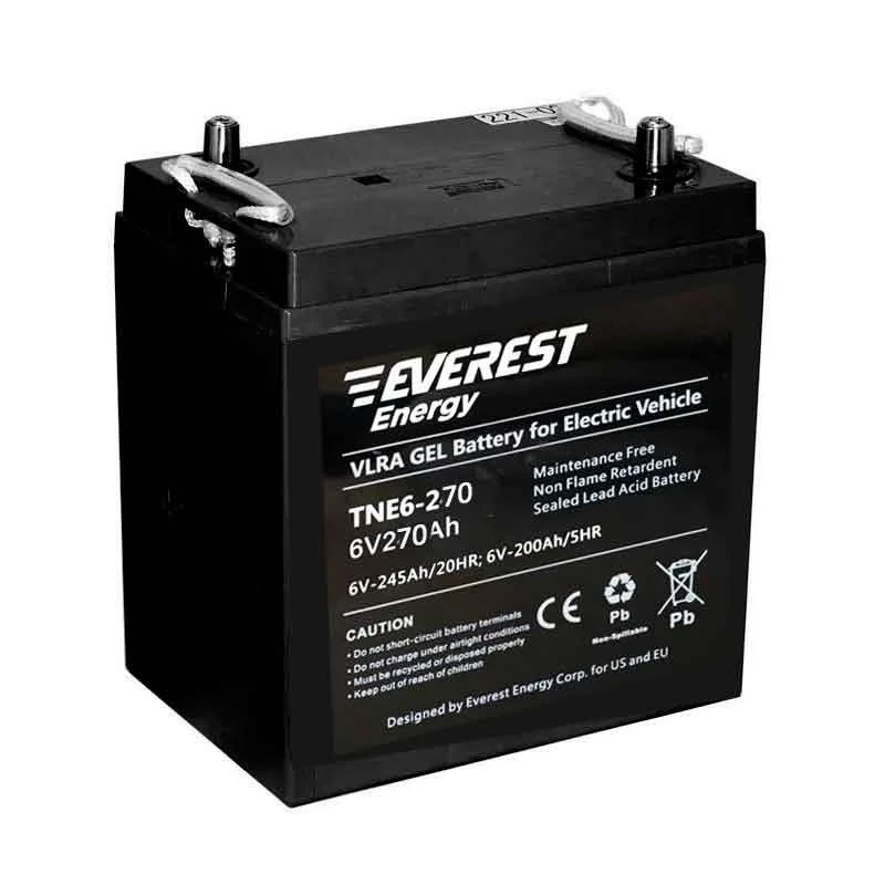 Аккумулятор тяговый Everest TNE 6-270 (6V / 235Ah) гелевый