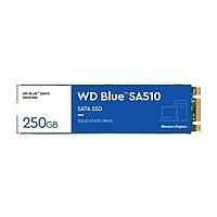 Твердотельный накопитель 250GB SSD WD BLUE SN570 M.2 2280 NVMe R3300Mb-s W1200M-s WDS250G3B0B