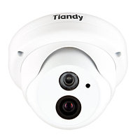 Tiandy Dome ip видеокамера (TC-NC9500S3E-MP-E-IR30)