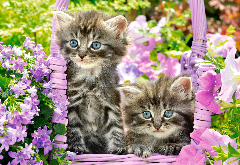 Пазл 1000 "Котята в летнем саду" - фото 2 - id-p106744352