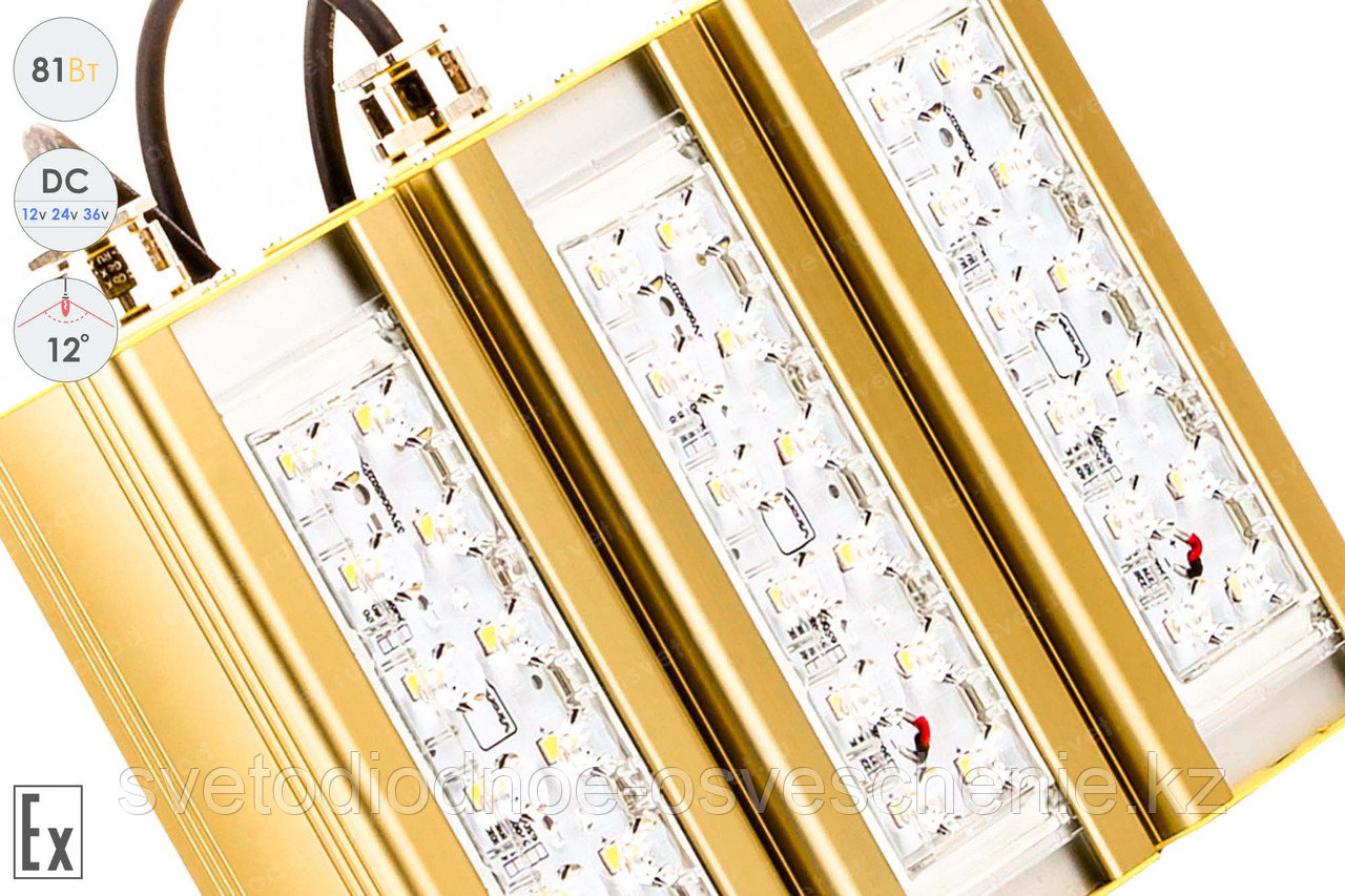 Низковольтный светодиодный светильник Прожектор Взрывозащищенный GOLD, консоль K-3 , 81 Вт, 12° - фото 2 - id-p107146462