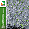 Агротекси Микс   двухслойная мульчирующая пленка 30гр/м2(1,6х50м) рулон, фото 2