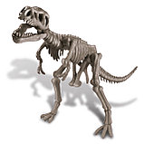 Набор 4M Раскопай скелет. Тираннозавр, фото 2