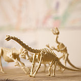 Набор 4M Раскопай скелет. Тираннозавр, фото 4