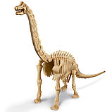 Набор 4M Раскопай скелет. Брахиозавр, фото 2