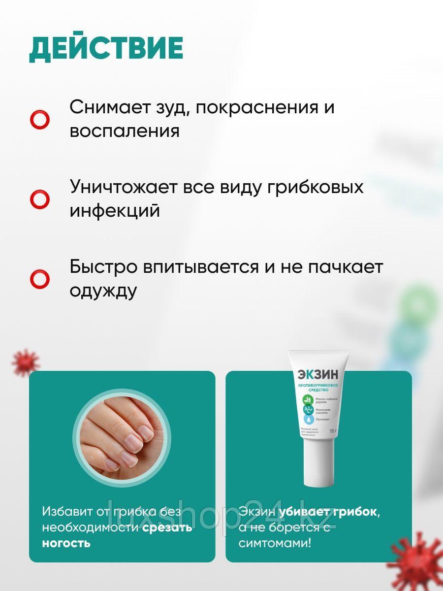 Экзим Купить В Аптеке Цена В Спб