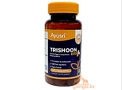 Тришун плюс (Trishoon plus AYUSRI), 60 таб