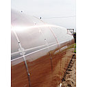 Сотовый поликарбонат GREENHOUSE-nano, цвет прозрачный, размер 2100x12000 мм, толщина 3,5 мм, фото 2