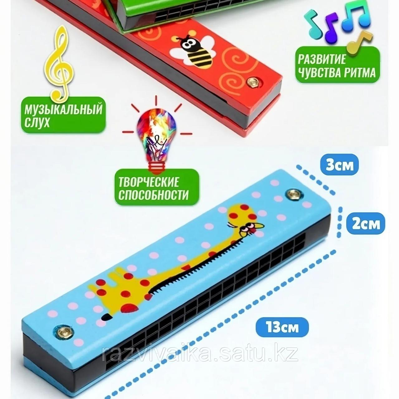 Детская губная гармошка - фото 2 - id-p107218698