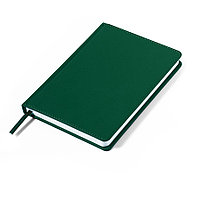 Ежедневник недатированный Campbell, формат А5, в линейку, Зеленый, -, 24605 17