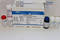 Набор реагентов ГепатитИФА-анти-HCV