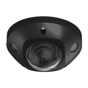 Видеокамера IP Hikvision DS-2CD2543G0-IS(Black)