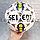 Футбольный мяч Seiedt размер 5 желто-синий, фото 4