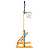 Стойка баскетбольная Pituso Лягушка и футбольные ворота, фото 4