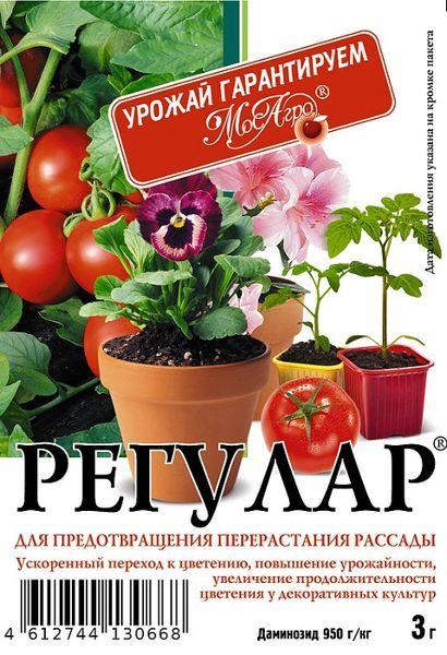 Регулар 3 гр, фото 1