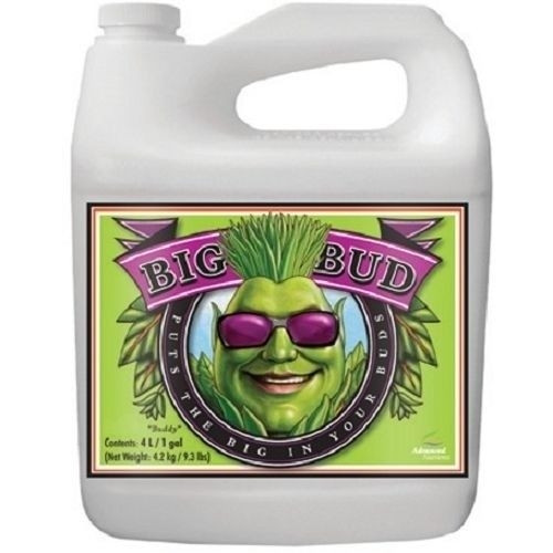 Big Bud Liquid 4L (Стимулятор Цветения), фото 1