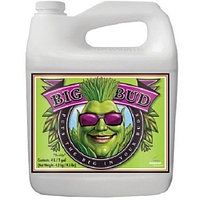 Big Bud Liquid 4L (Стимулятор Цветения)