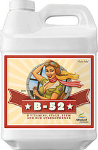 Стимулятор B-52 Fertilizer Booster 5 L