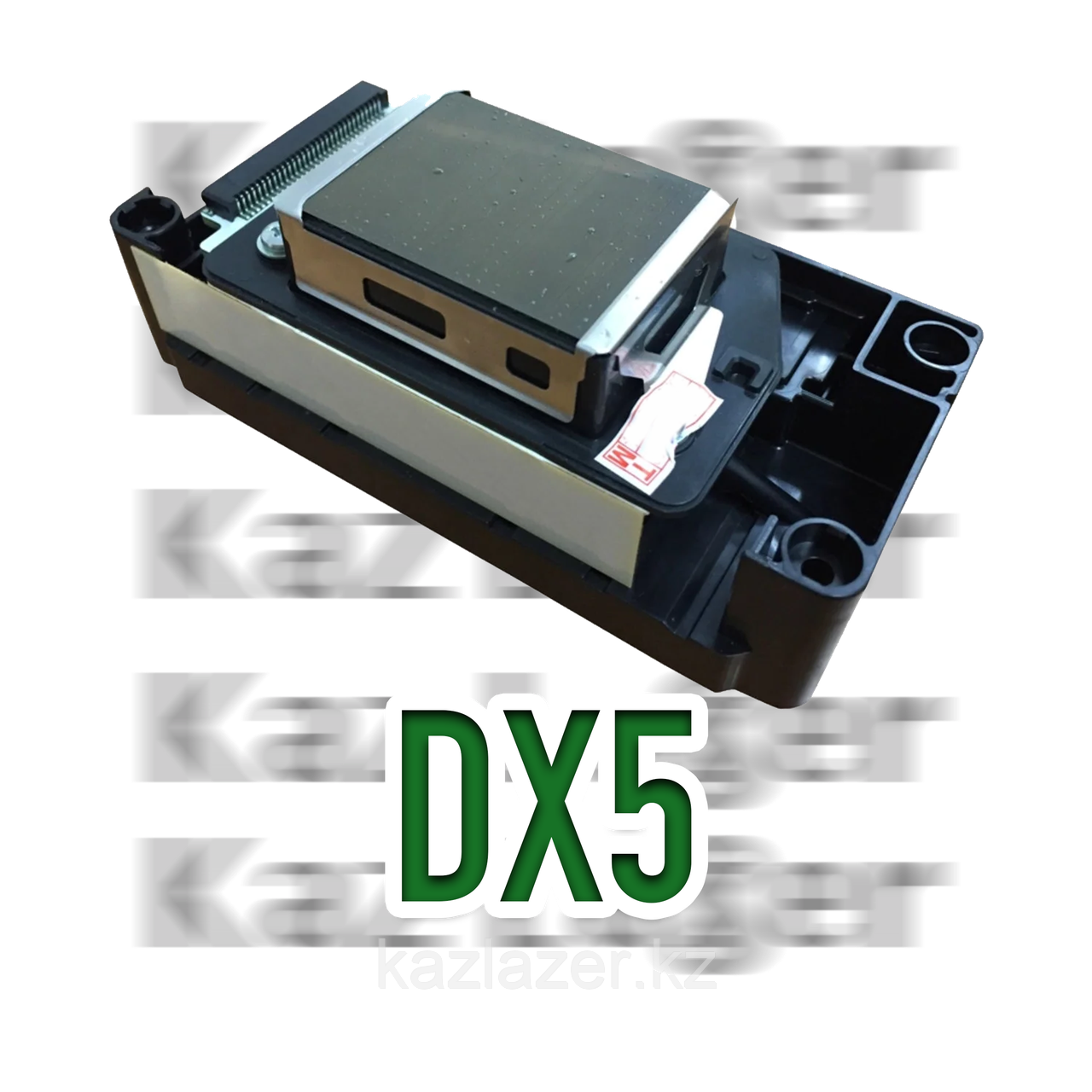 DX5 (адаптированная), печатающая головка от Epson - фото 1 - id-p107294688