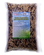 Смесь сидератов для Отдыха почвы Алый сад 500гр