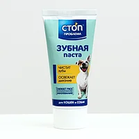 Екатерина Стриженованың кискасы