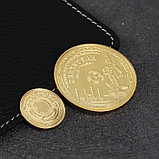 Сувенирные монеты «Казахстан», набор 2 шт, металл, фото 3