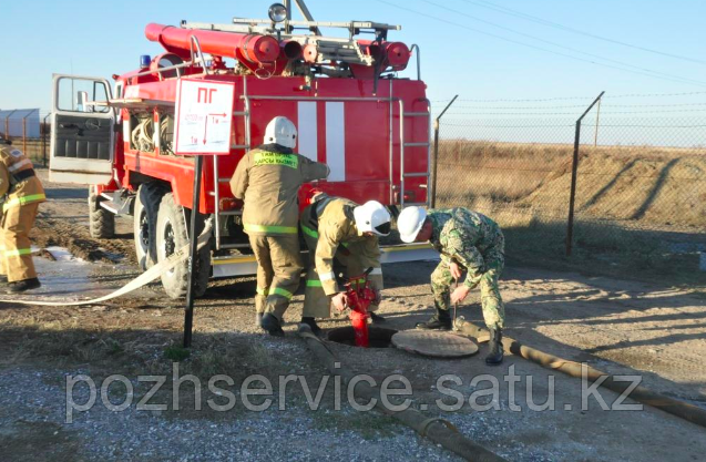 Негосударственная противопожарная служба. Охрана объектов от пожаров