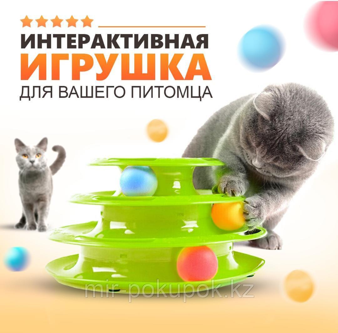 Интерактивная игрушка трек для кошек с шариками