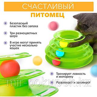 Қыздардағы порно оргазм Порно мама куннилингус қызынан