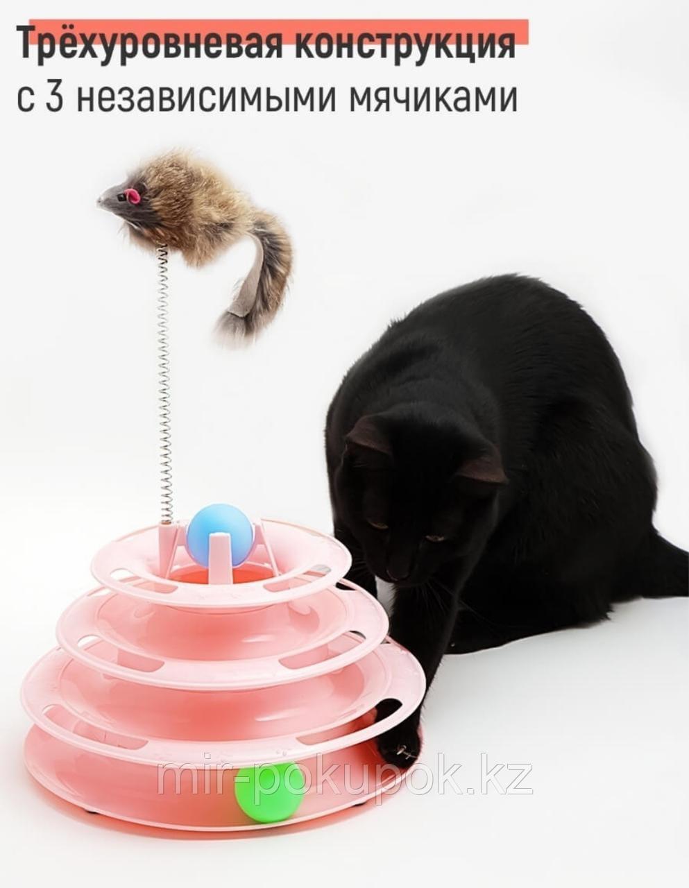 Интерактивная игрушка трек для кошек с шариками и мышкой - фото 2 - id-p107331892
