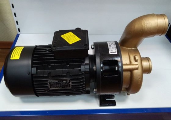 Насос бронзовый Pahlen Jet Swim 2000 для противотока (мощность = 4,0 кВт, производительность = 78 м³/ч, 380В) - фото 5 - id-p107340618