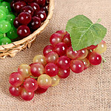 Муляж "Виноград глянец" 45 ягод 18 см, микс, фото 4