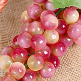 Муляж "Виноград матовый" 85 ягод 28 см, микс, фото 3