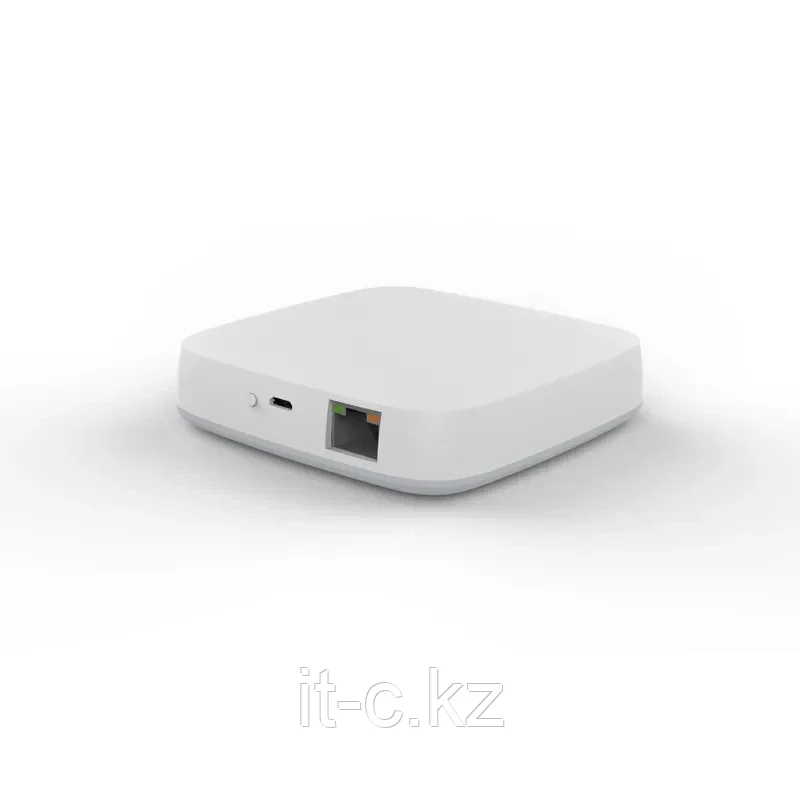 Умный шлюз Zigbee Smart LAN Gateway