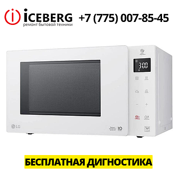 Ремонт микроволновок LG в Усть-Каменогорске, фото 1