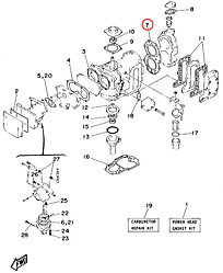 Прокладка ГБ лодочного мотора Yamaha PARAGON Y 20 6951118100