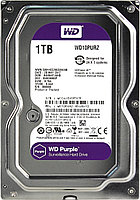 HDD_1 TB, Western Digital Purple SATA 6Gb/s 64Mb  WD10PURZ (видеонаблюдение)