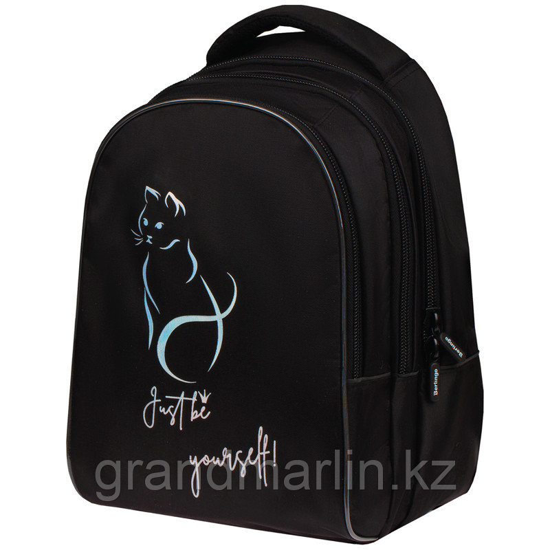 Рюкзак Berlingo inStyle "Shining cat" 41*27*20см, 3 отделения, 1 карман, эргономичная спинка
