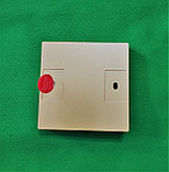 Беспроводной выключатель RF 433Mhz золотой + Радиореле, фото 6