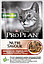 Pro Plan STERILISED с Говядиной в соусе Влажный корм для стерилизованных кошек, фото 2