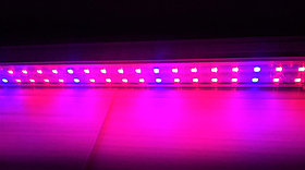 Екі қатарлы сызықты фитолампа 22 W 90 см қызыл көк 4:1