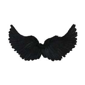 Крылья ангела "Вдохновение", цвет  80*45