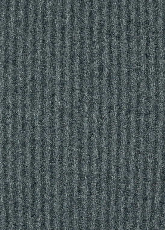 Коммерческая ковровая плитка Shark 569 (IVC)