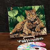 Картина по номерам на холсте с подрамником «Леопард» 40х50 см, фото 2