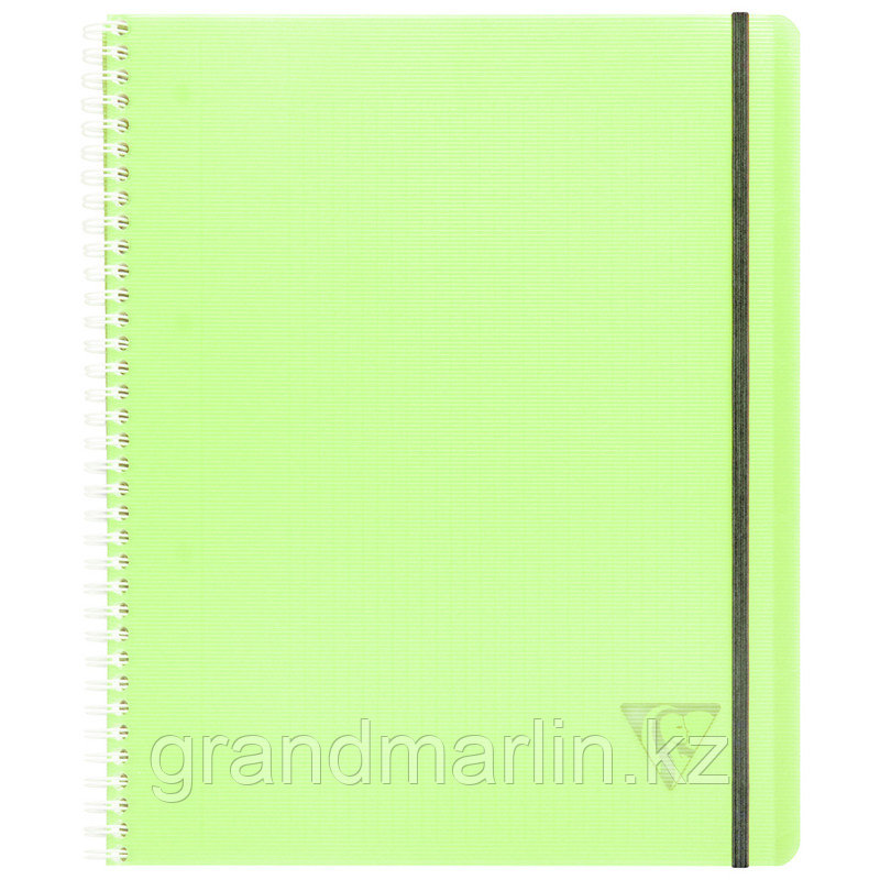 Бизнес-тетрадь 80л., А4+, клетка на гребне Clairefontaine "Proactiv'Book", пластик. обложка, зеленая